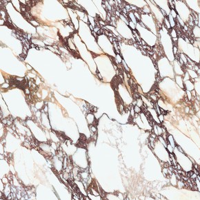 Lucidata (Polerowane)